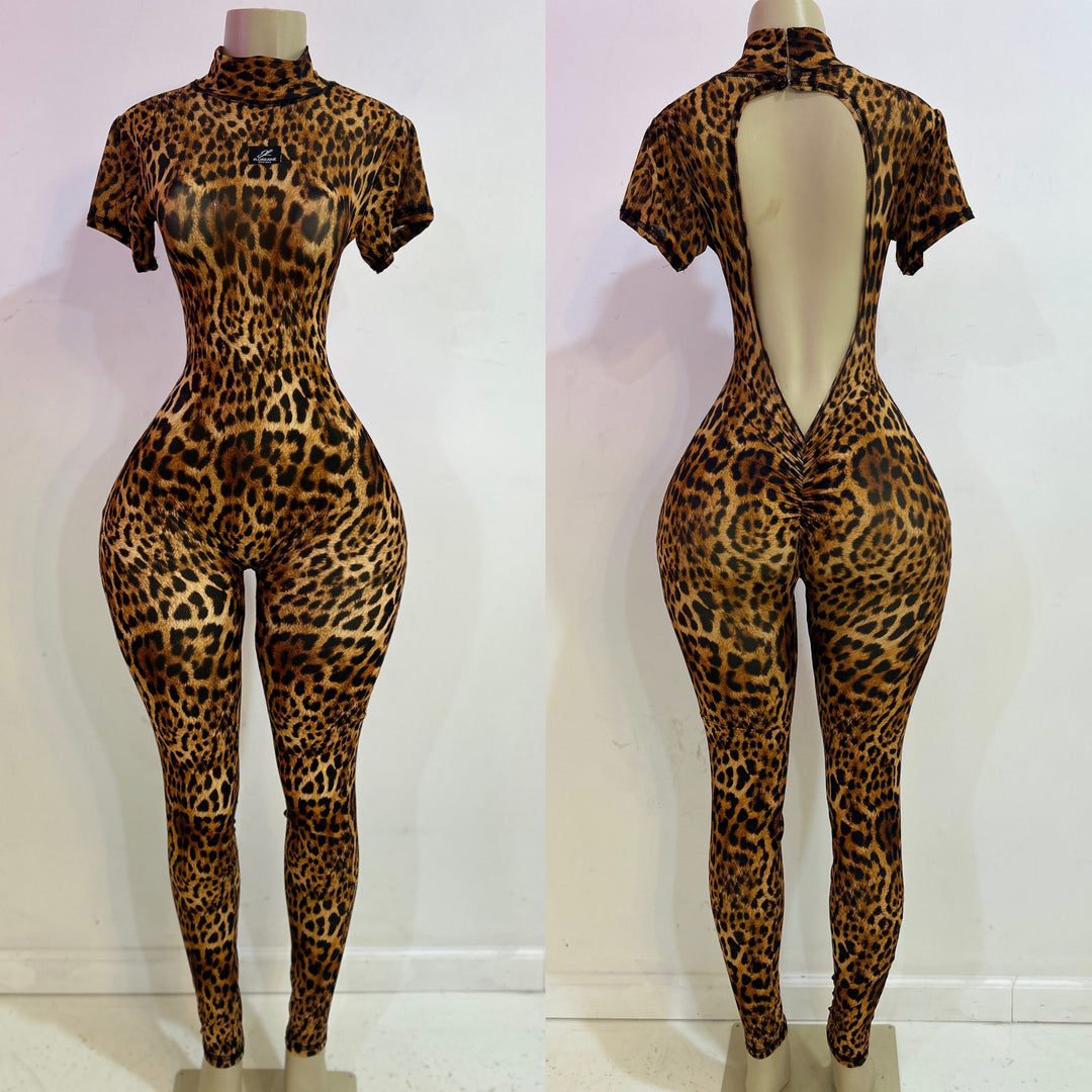 Leo Mesh Jumpsuit