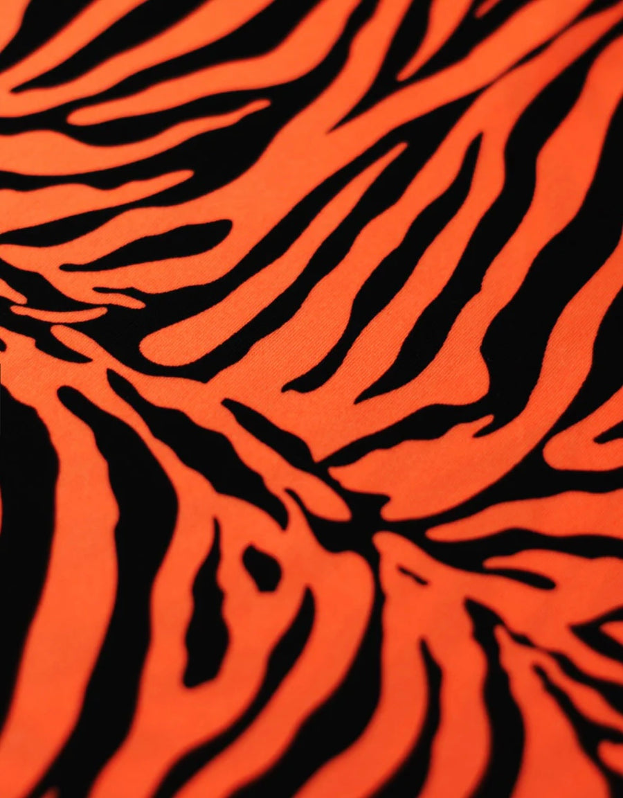 Zebra Pants Set