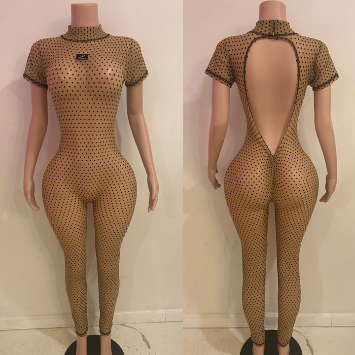 Fancy Jumpsuit