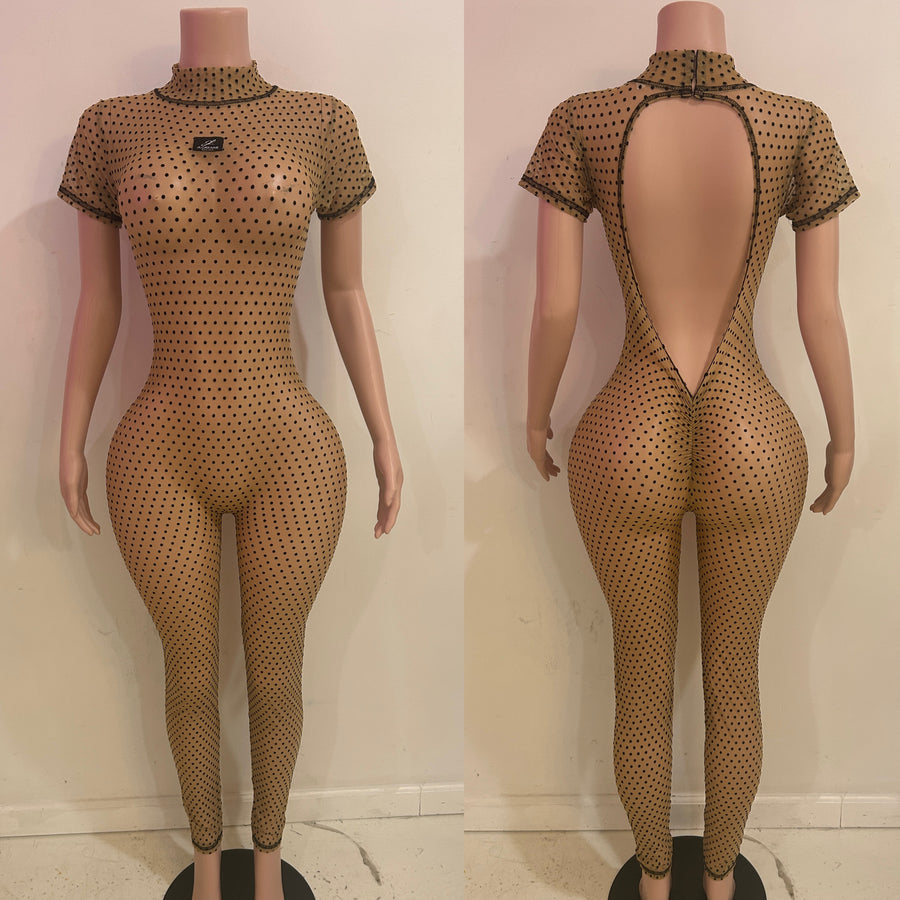 Fancy Jumpsuit