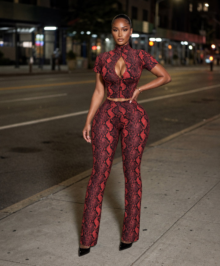 Scarlet Set