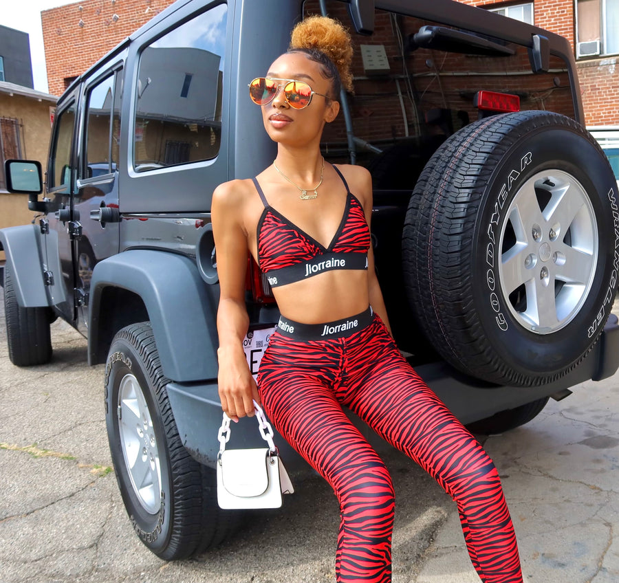 Zebra Pants Set